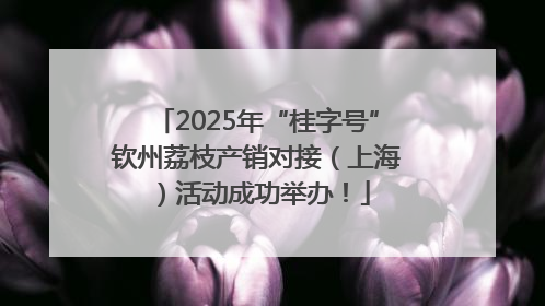 2025年“桂字号”钦州荔枝产销对接（上海）活动成功举办！