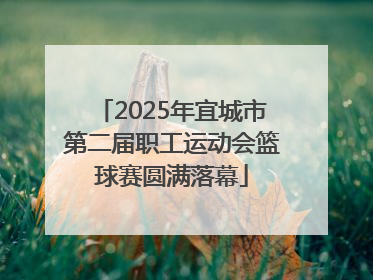 2025年宜城市第二届职工运动会篮球赛圆满落幕