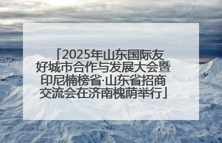 2025年山东国际友好城市合作与发展大会暨印尼楠榜省·山东省招商交流会在济南槐荫举行