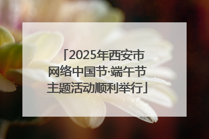 2025年西安市网络中国节·端午节主题活动顺利举行