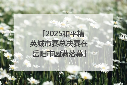 2025和平精英城市赛总决赛在岳阳市圆满落幕