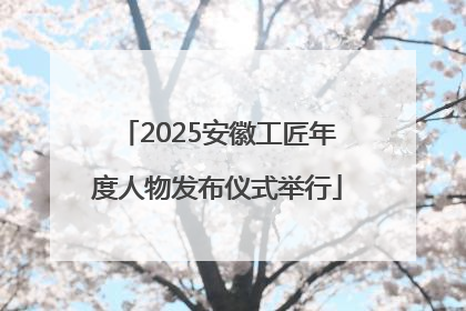 2025安徽工匠年度人物发布仪式举行