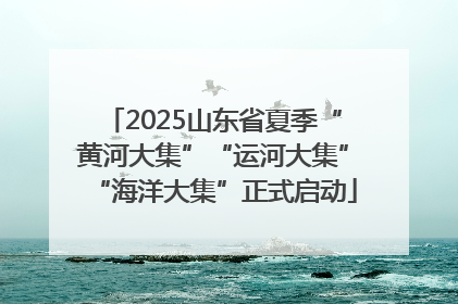 2025山东省夏季“黄河大集”“运河大集”“海洋大集”正式启动