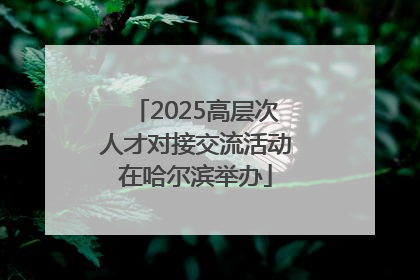 2025高层次人才对接交流活动在哈尔滨举办