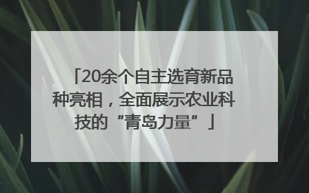 20余个自主选育新品种亮相，全面展示农业科技的“青岛力量”