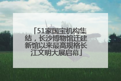 51家国宝机构集结，长沙博物馆迁建新馆以来最高规格长江文明大展启幕