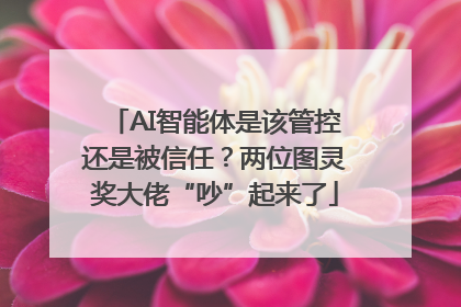 AI智能体是该管控还是被信任？两位图灵奖大佬“吵”起来了