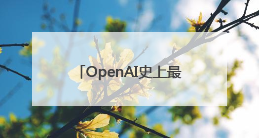 OpenAI史上最大收购：65亿美元收购AI硬件公司，由苹果前设计总监创办