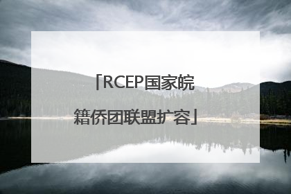 RCEP国家皖籍侨团联盟扩容